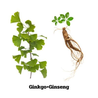 Ginko & Ginseng - 70 Kapseln