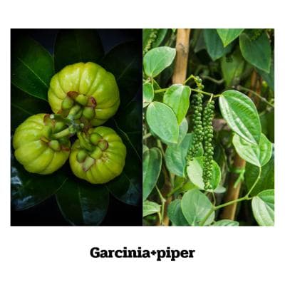 Garcinia + Piper - 70 Kapseln