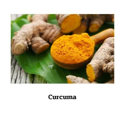 Curcuma - 100 Kapseln