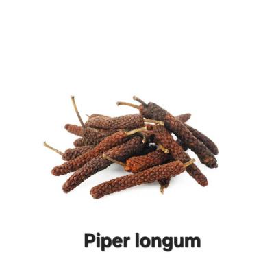 EXTUSSIS - 90 Kapseln