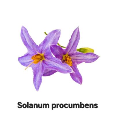 EXTUSSIS - 90 Kapseln