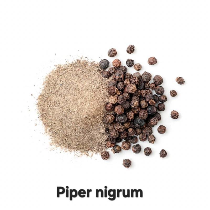 EXTUSSIS - 90 Kapseln